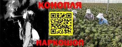 гашик Будённовск
