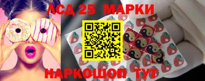 гашик Будённовск