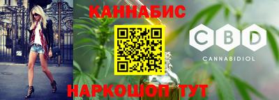 гашик Будённовск
